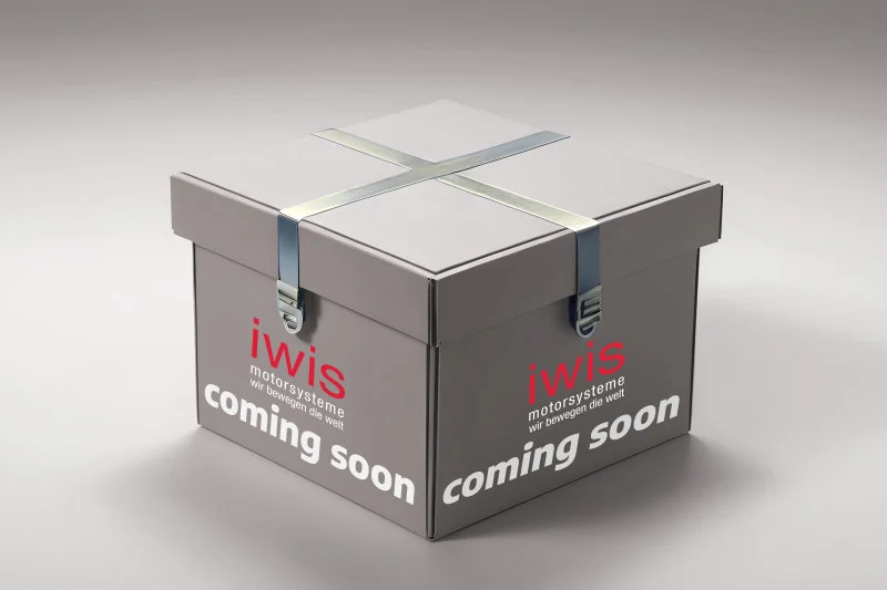 61370 Iwis
