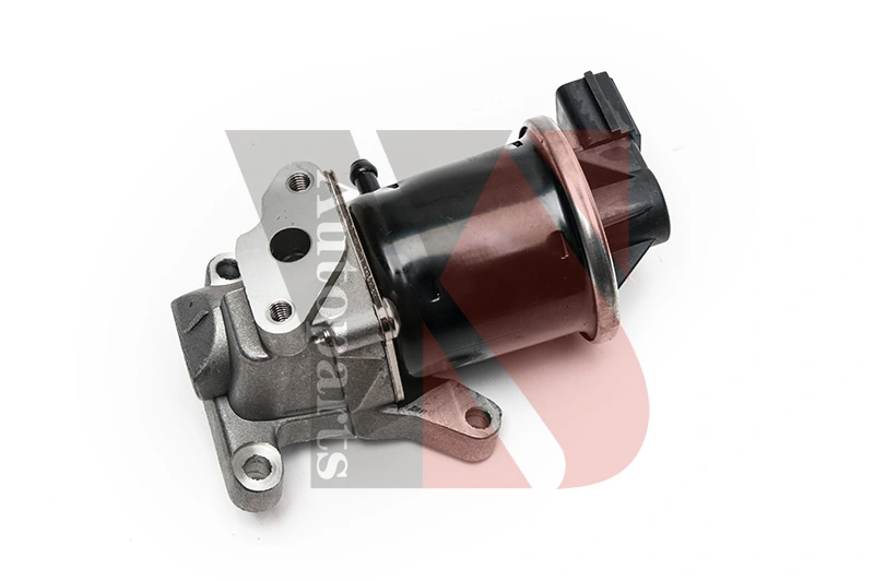 EGRA136 YS