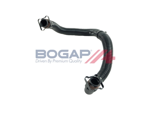 A1210115 Bogap