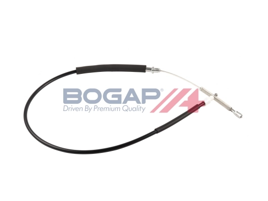 C3126118 Bogap
