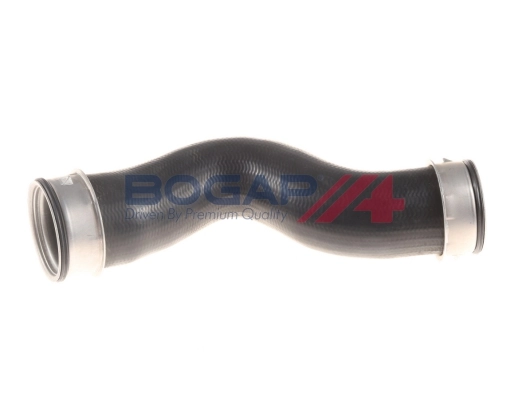 A1711363 Bogap