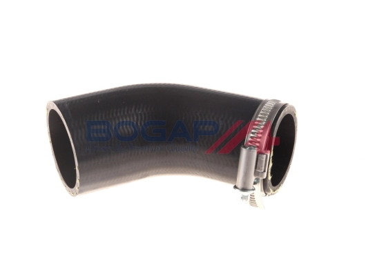 A1711151 Bogap