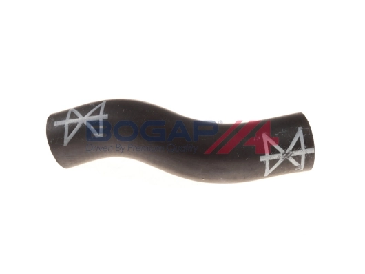 A4228124 Bogap