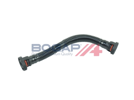 A1210111 Bogap