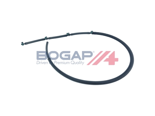 C1621103 Bogap
