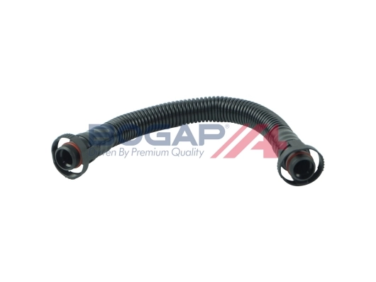 A1210123 Bogap
