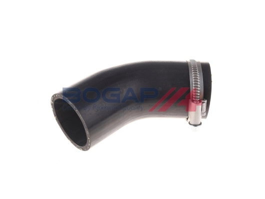 A1711117 Bogap