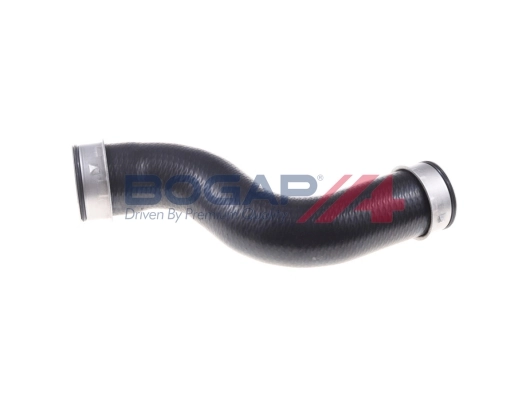 C1711122 Bogap