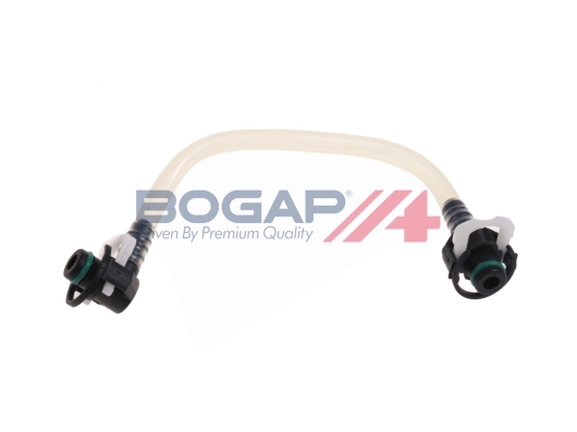 C1646109 Bogap