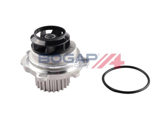 A4234124 Bogap