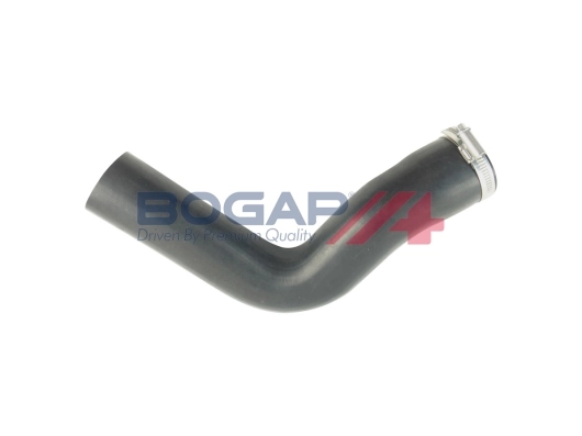 C1711154 Bogap