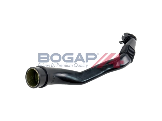 A1210128 Bogap