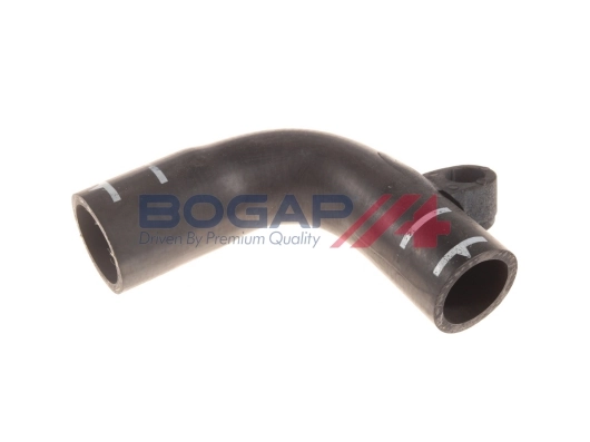 A4228284 Bogap