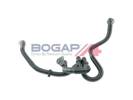 A1210136 Bogap