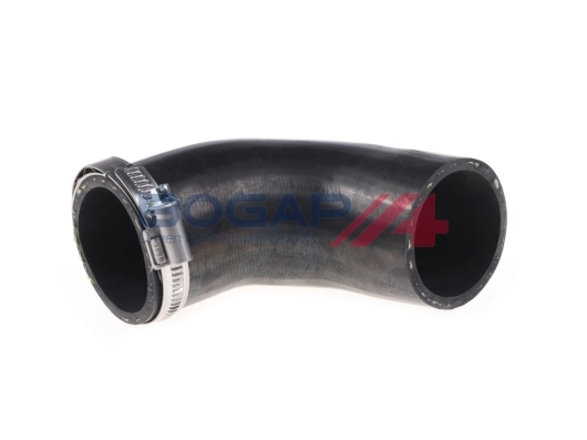 A1711167 Bogap