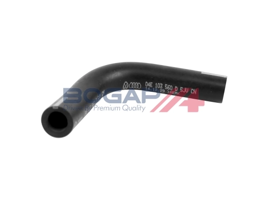 A1210189 Bogap