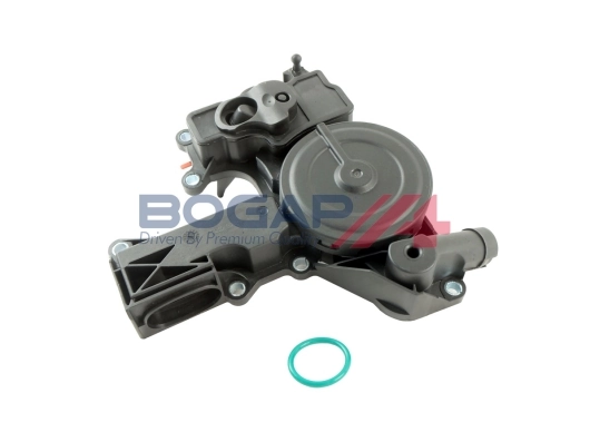 A1217101 Bogap