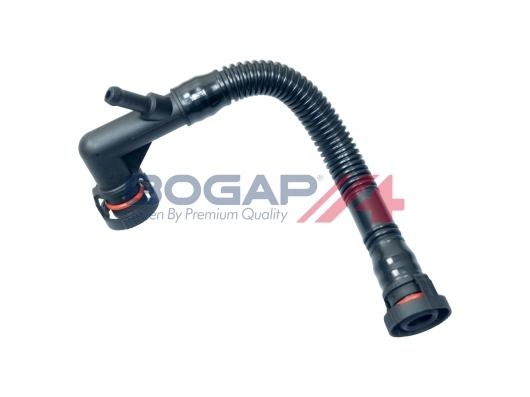 B1210128 Bogap