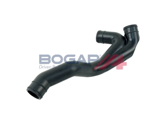 A1210147 Bogap