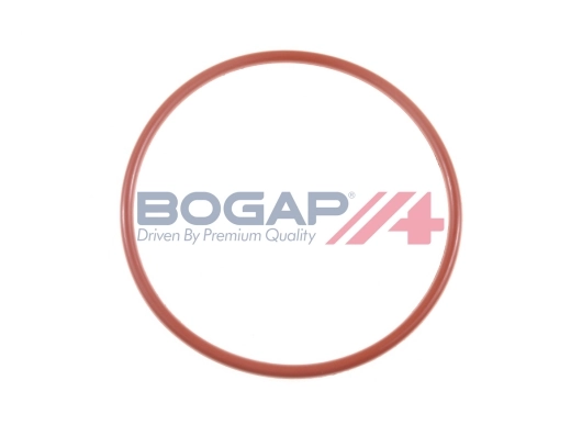 C1623101 Bogap