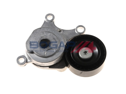 C1317101 Bogap