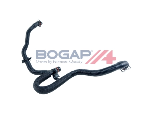 A1210133 Bogap