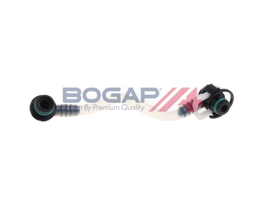 C1646111 Bogap