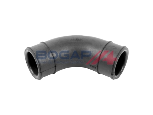 A1210154 Bogap