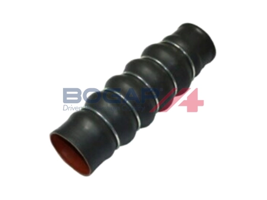 F1711109 Bogap