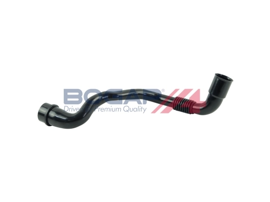 A1210105 Bogap