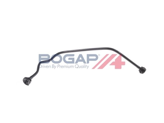 C4255101 Bogap