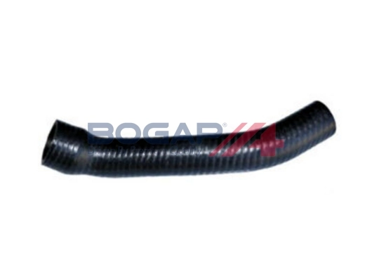 A1711330 Bogap