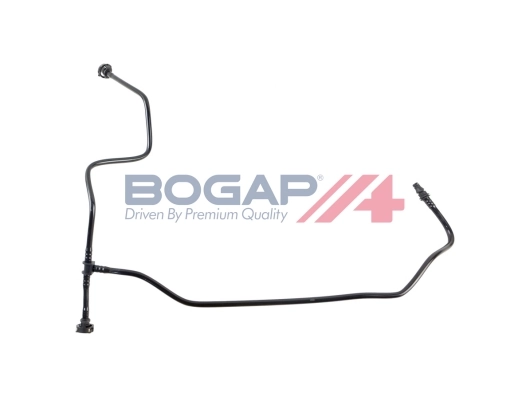 C4255102 Bogap