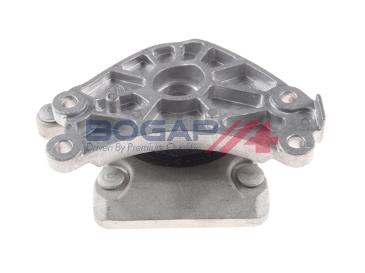 C2144101 Bogap