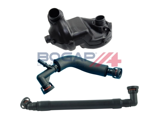 B1217107 Bogap