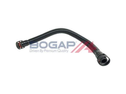 A1210103 Bogap