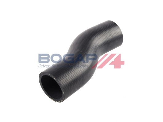 A1711220 Bogap