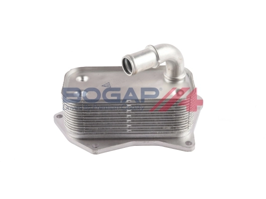 G4222100 Bogap