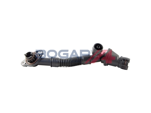 B1210144 Bogap