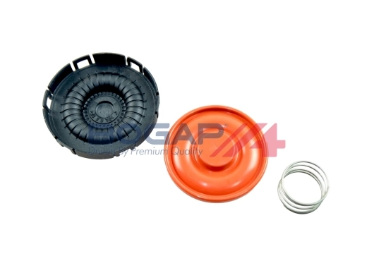 B1116104 Bogap