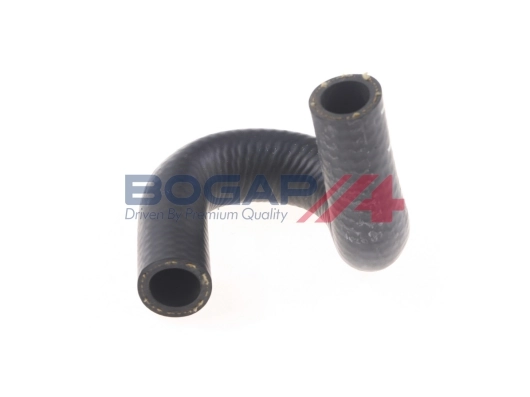 A4228282 Bogap