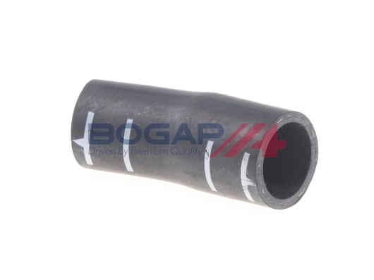 A4228329 Bogap