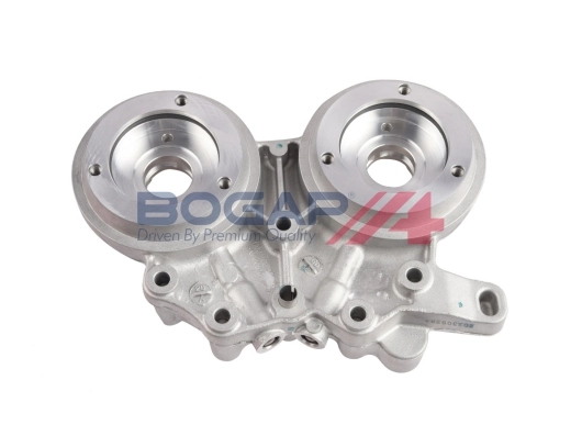 A1337101 Bogap