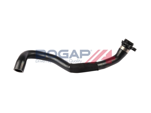 B4228532 Bogap