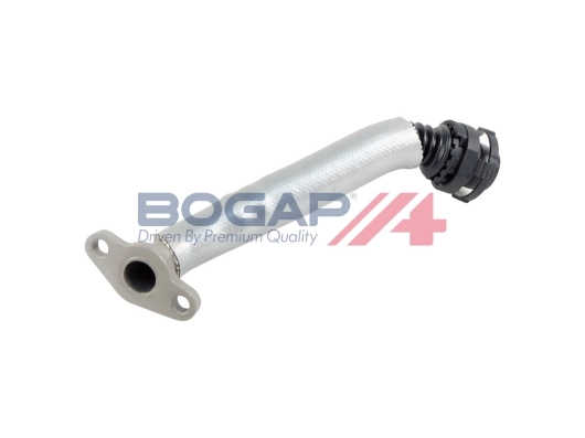 L1210100 Bogap