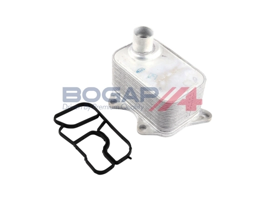 A4222108 Bogap