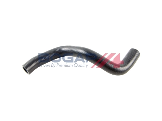 C4228147 Bogap