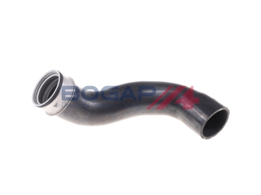 C1711123 Bogap