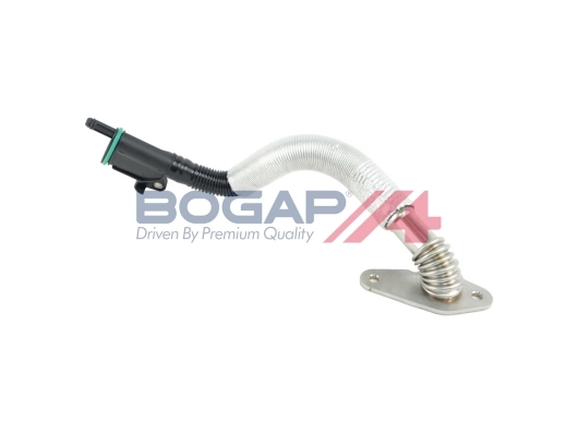 A1210197 Bogap