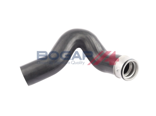 A1711370 Bogap